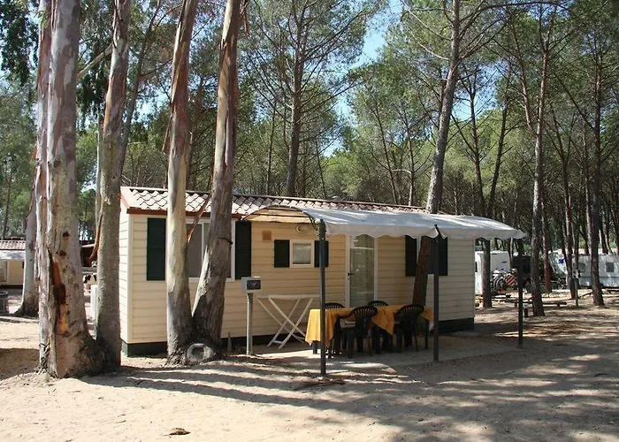 Vakantiepark Spinnaker 4*