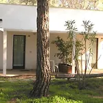 Spinnaker Oristano
