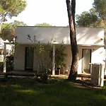 Spinnaker Oristano