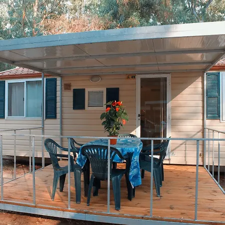 Spinnaker オリスターノ