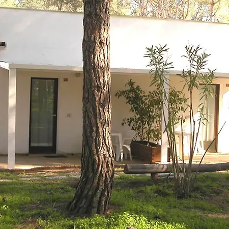 Spinnaker オリスターノ