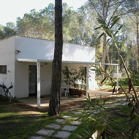 ホリデーパーク Spinnaker