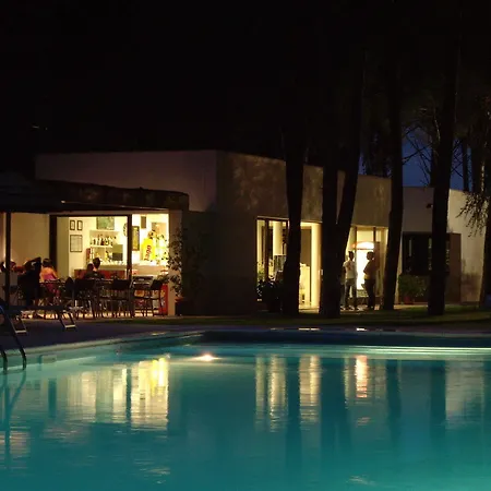 Spinnaker オリスターノ