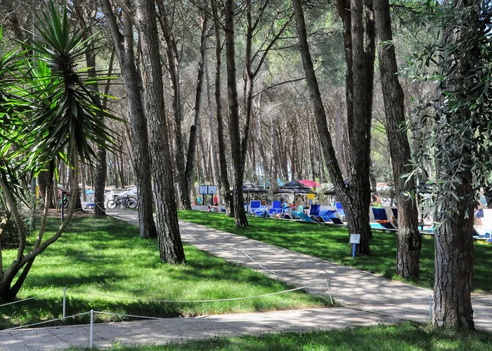 Spinnaker Tatil parkı